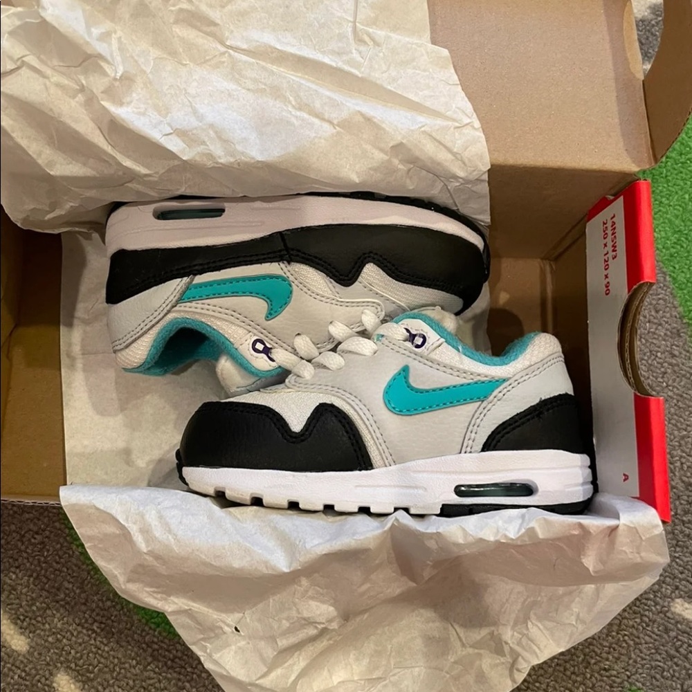 Nike Air Max 1